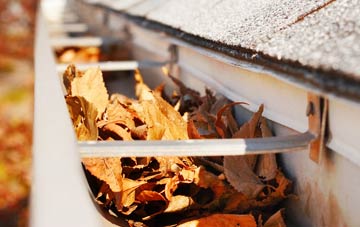 Tamworth Green gutter cleaning companies