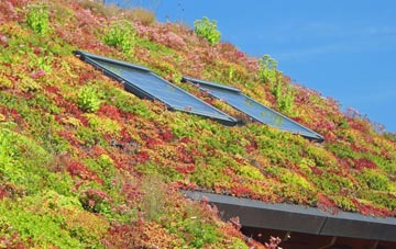 Tamworth Green living roof systems