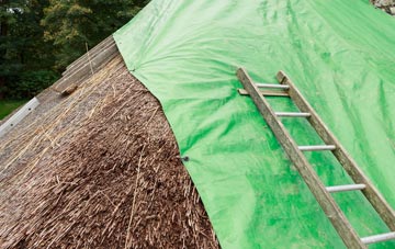 maintaining Tamworth Green thatch
