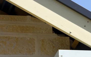 soffit repair Tamworth Green